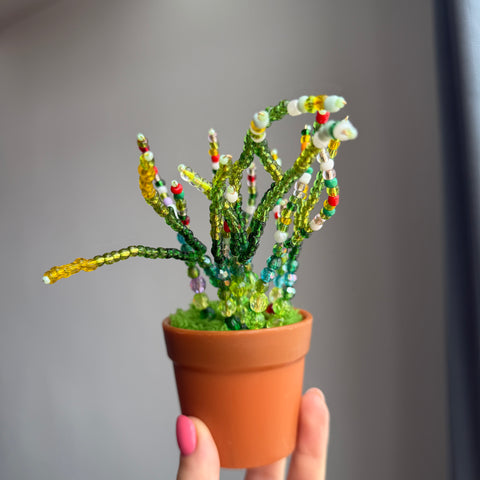 DIY Suncatcher Plants kits   by Arteora™
