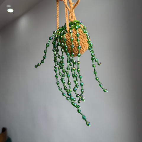 DIY Suncatcher Plants kits   by Arteora™