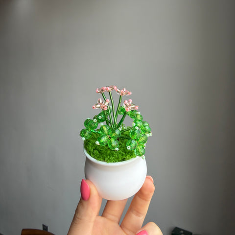DIY Suncatcher Plants kits   by Arteora™