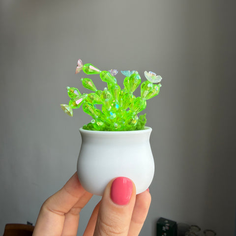 DIY Suncatcher Plants kits by Arteora™