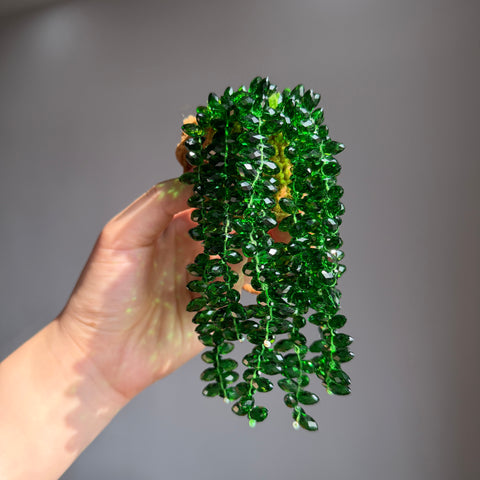 DIY Suncatcher Plants kits   by Arteora™