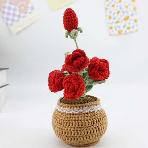 Crocheted Planter - Ombré Rose
