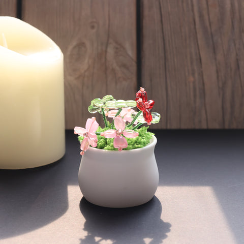 DIY Suncatcher Plants kits   by Arteora™