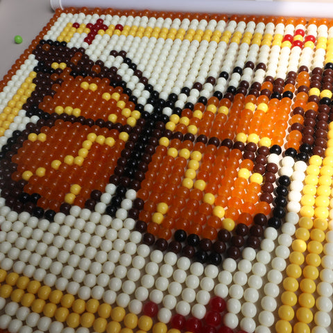 DIY Monarch butterfly Beaded Curtain Kit by Arteora