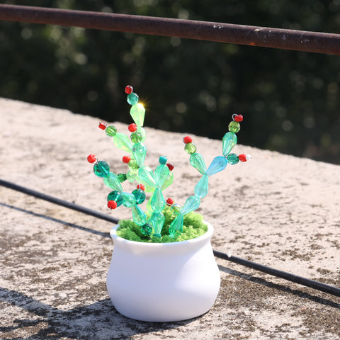 DIY Suncatcher Plants kits   by Arteora™