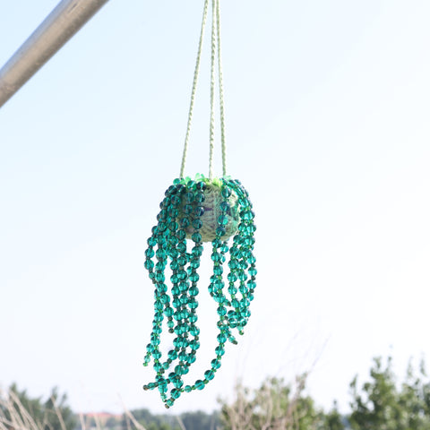 DIY Suncatcher Plants kits  by Arteora™