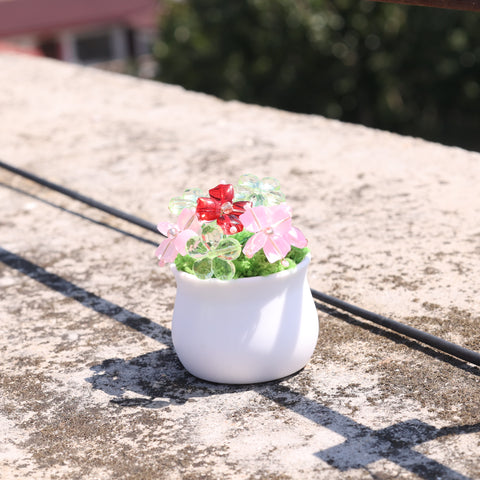 DIY Suncatcher Plants kits   by Arteora™