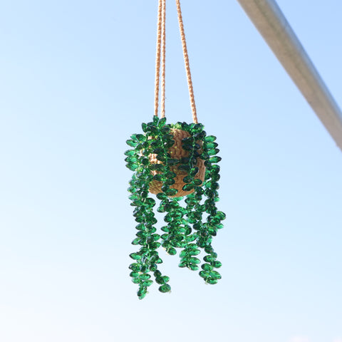 DIY Suncatcher Plants kits   by Arteora™